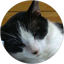 masa profile picture