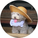 野口茜 profile picture