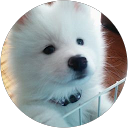 のり profile picture